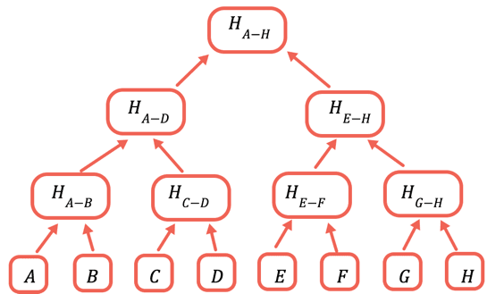 Merkle tree diagram showing leaves and hashed parent nodes up to a single Merkle root.
Merkle proofs scale logarithmically: proving one leaf only needs the sibling hashes on its path to the root (e.g., a 1,024-leaf tree needs ~10 layers).
Source: https://ethereum.org/developers/tutorials/merkle-proofs-for-offline-data-integrity/
