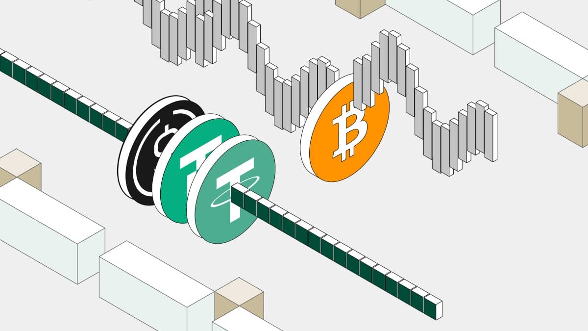 -003- Stablecoins vs Bitcoin - The --- Main Differences Explained